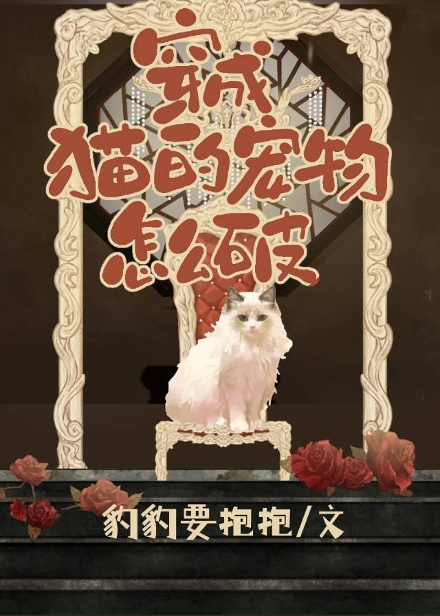 变成猫了怎么办