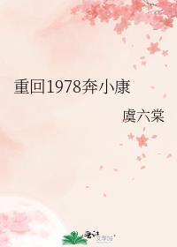 重回1978奔小康txt