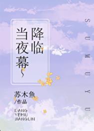 当夜幕降临吾必