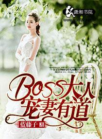 boss大人宠妻手册