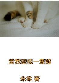 当我变成一只猫作文经典