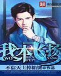 我本飞扬传奇2003年