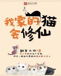 我家的猫作文