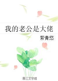 我的老公是大佬结局是什么