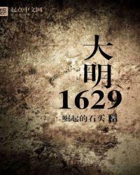 大明1629科技兴国TXT