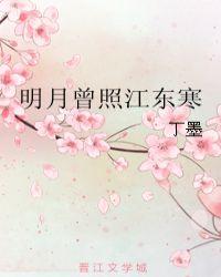 明月曾照江东寒电视剧免费观看完整版