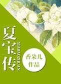 夏宝传ⅱ免费