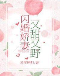 厉总闪婚娇妻有点甜全集