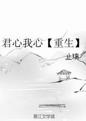 君心我心1完结破解版