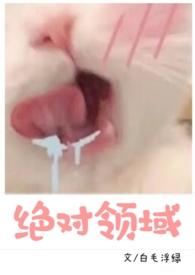 绝对领域裙