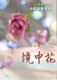 镜中花高干无梦