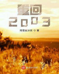 老实人重回2003