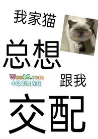 猫咪为什么想和你睡觉