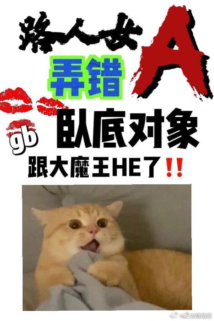 路人女a弄错卧底对象了