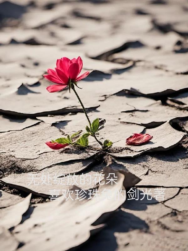 花朵绽放的视频唯美