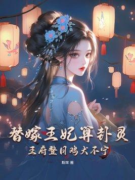 电视剧替嫁王妃