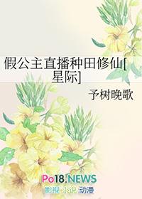 什么是假公主