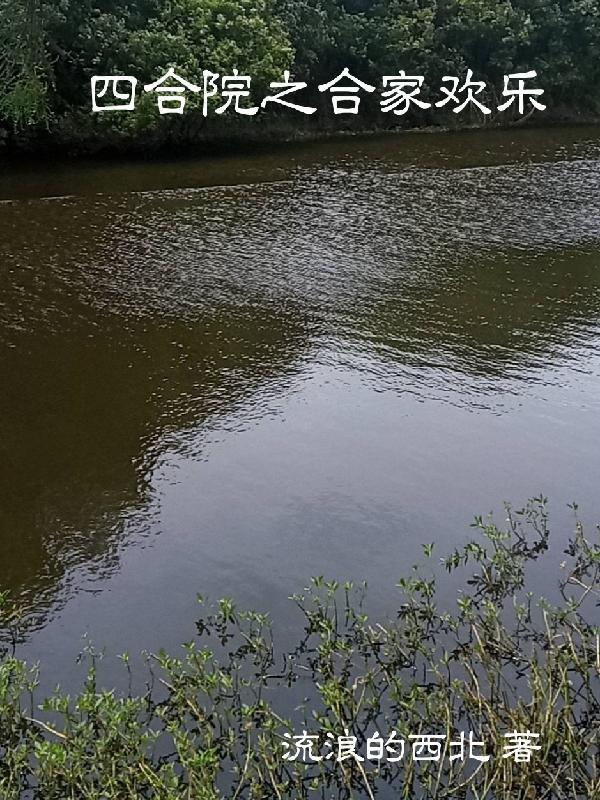 四合院之合家欢乐起点