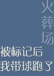 被标记后我带球跑了【正文+番外】