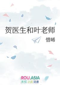 贺医生和叶老师免费读全文