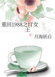 重回1988之IT女王全文阅读