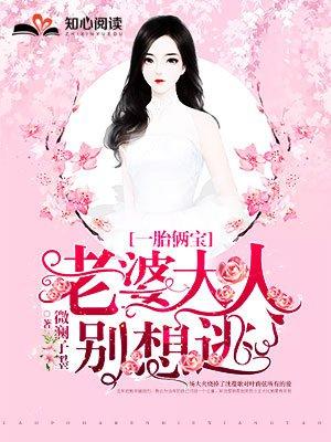 一胎二宝老婆大人别想逃视频