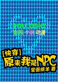 原来我是npc攻略