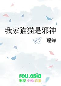 我家猫是什么意思