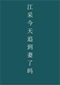 江采今天追到妻了吗完结