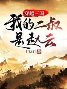 三国之我是赵云的师叔金手指完结版