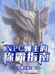 npc领主的称霸指南免费阅读