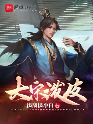 大宋泼皮无错版