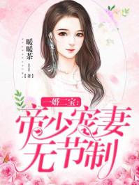 一婚二宝帝少宠妻无节制百度