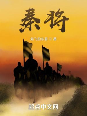 秦将军智能锁