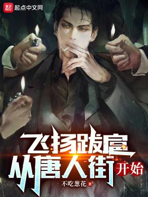 从唐人街开始无防盗