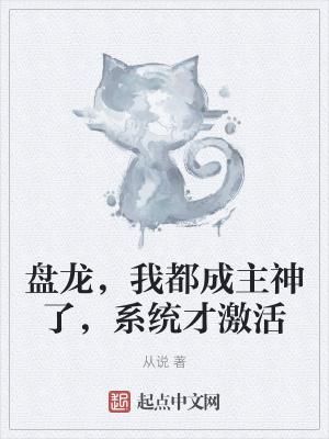 系统才激活全文