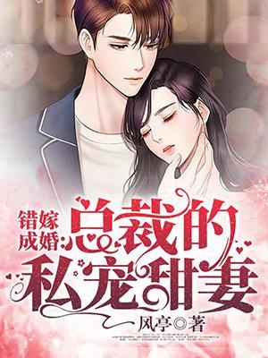 错嫁成婚之总裁的私宠甜妻完整版206章开始