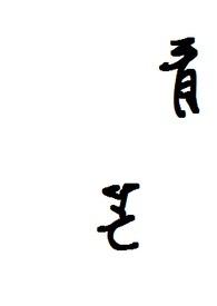 青芒演员表全部演员