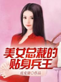 美女总裁的贴身兵王叶枫