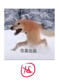 沦为废柴也活该