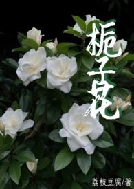 栀子花全文阅读