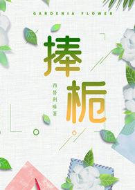 捧栀全文免费