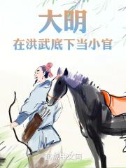 大明洪武年