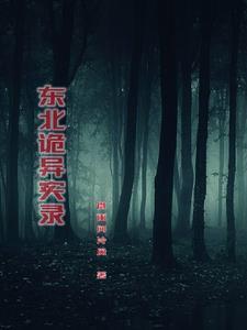 东北诡异实录 微雨问冷风 / 著