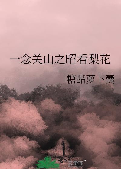 一念关山免费阅读全文