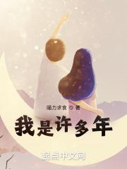 四合院之我是许多年无错